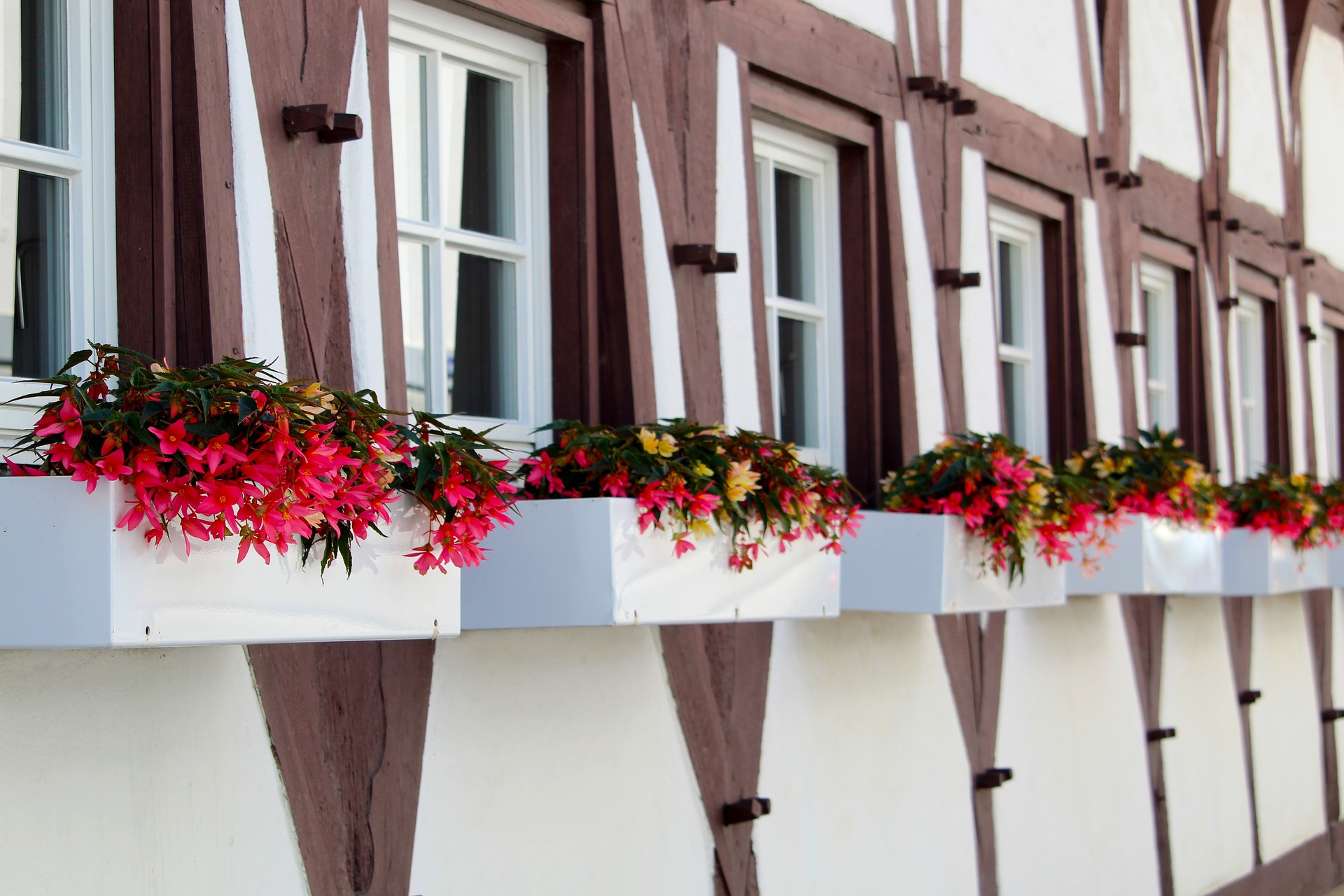 Biberach an der Riss - Die besten Sehenswürdigkeiten in Biberach an der Riss: Ein Reiseführer