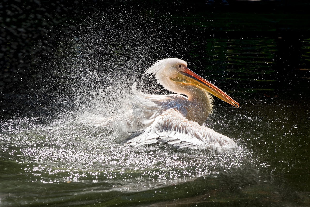 Wilhelma Zoo