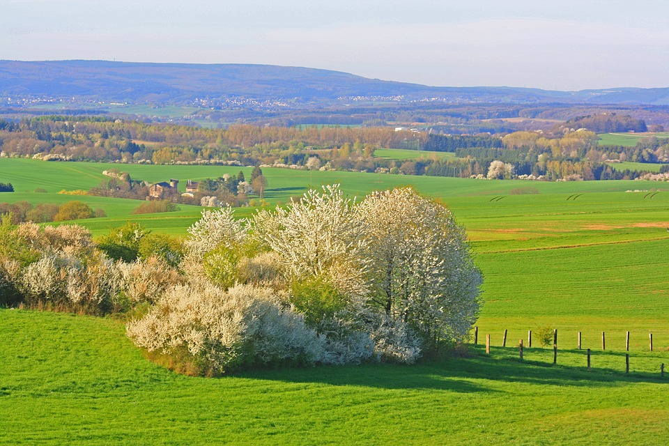 Entdecken Sie die Sehenswürdigkeiten von Kleinblittersdorf: Ein Reiseführer