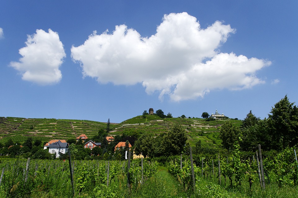 Entdecke die schönsten Sehenswürdigkeiten in Radebeul!