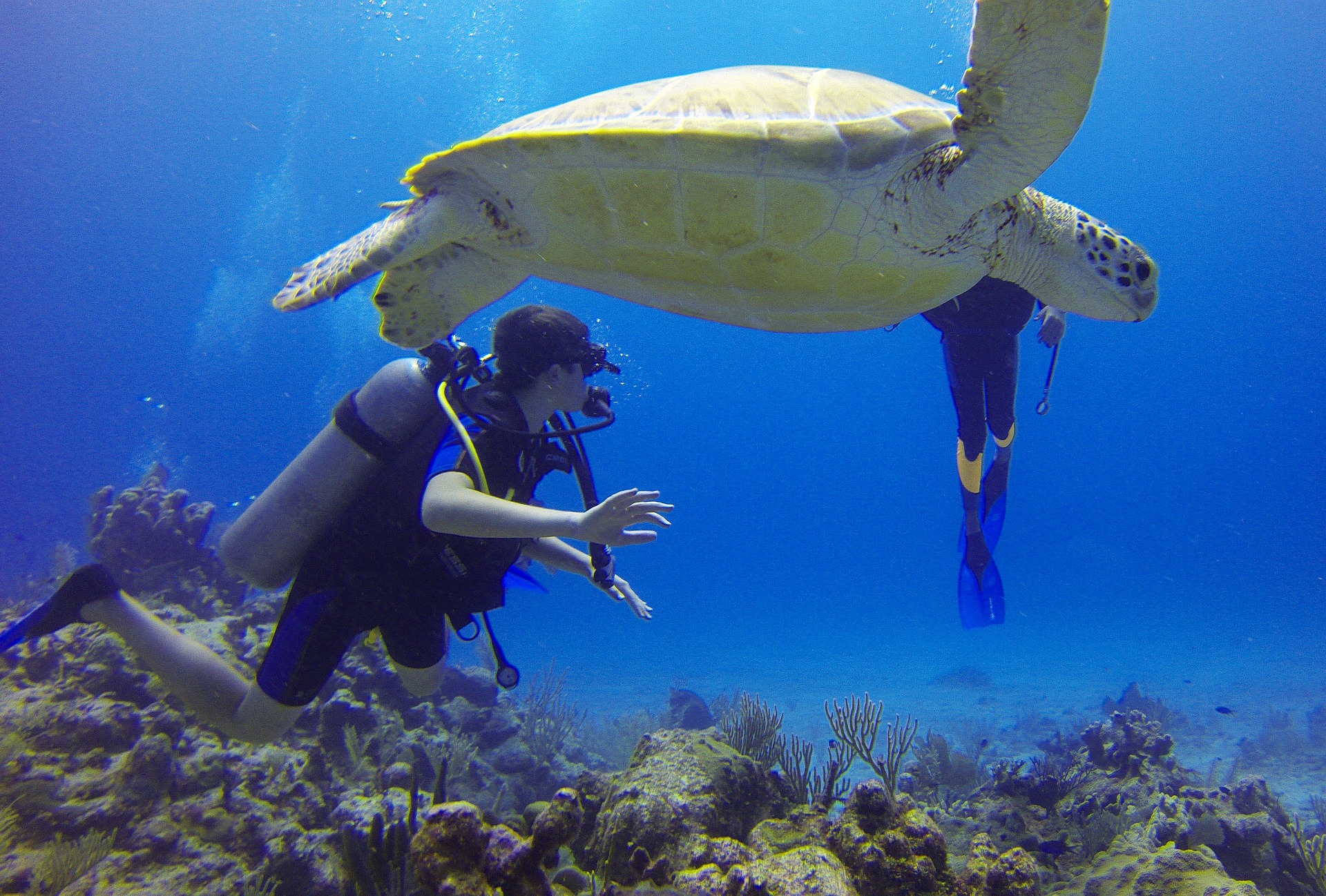 Entdecke die atemberaubende Unterwasserwelt von Bora Bora
