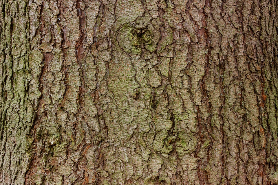 Borken erkunden: Natur, Kultur und Abenteuer für jeden Reisenden