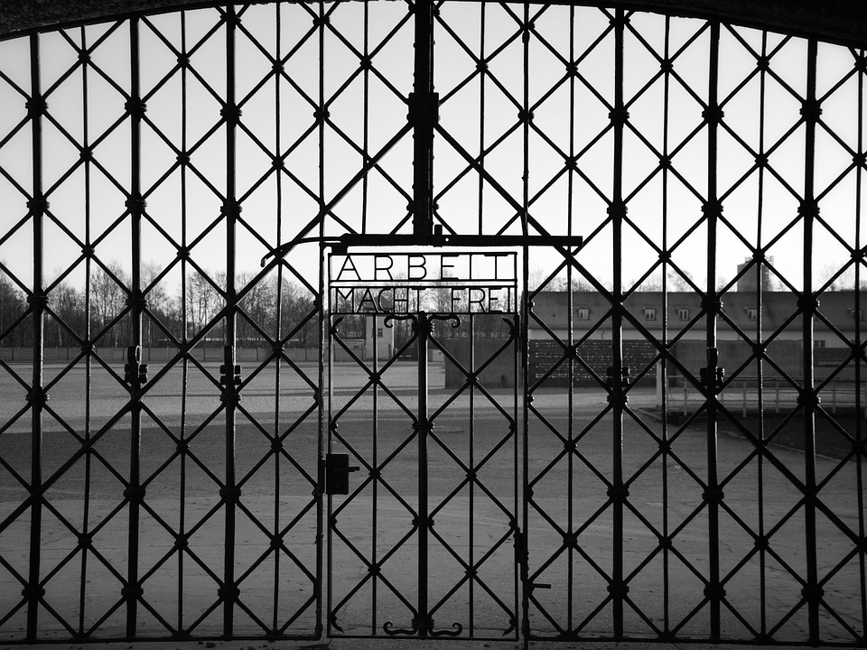 Entdecke Dachau: Geschichte, Kulinarik und verborgene Schätze