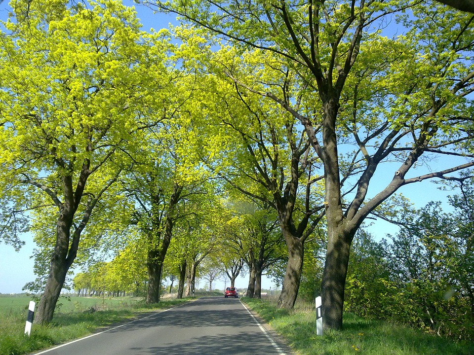 Entdecke Dahme-Spreewald: Natur, Genuss und Kultur für die ganze Familie
