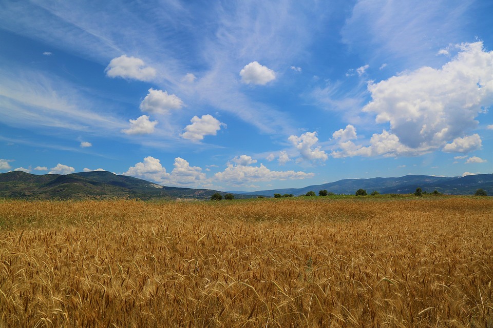 Entdecke das Nürnberger Land: Kulinarik, Kultur und verborgene Schätze