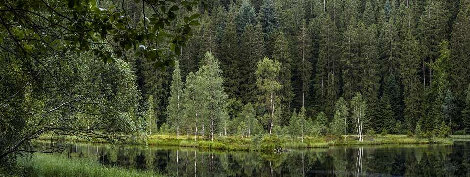 Schwarzwald-Baar-Kreis: Entdecke Natur, Kulinarik und Abenteuer!