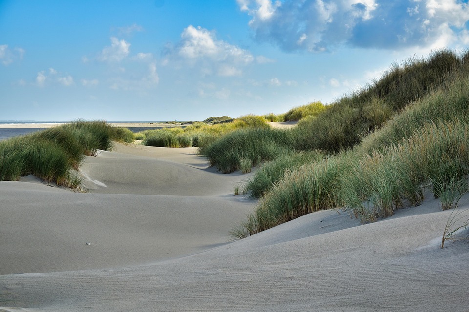 Von Grachten bis Gourmet: Entdecke die Vielfalt der Niederlande