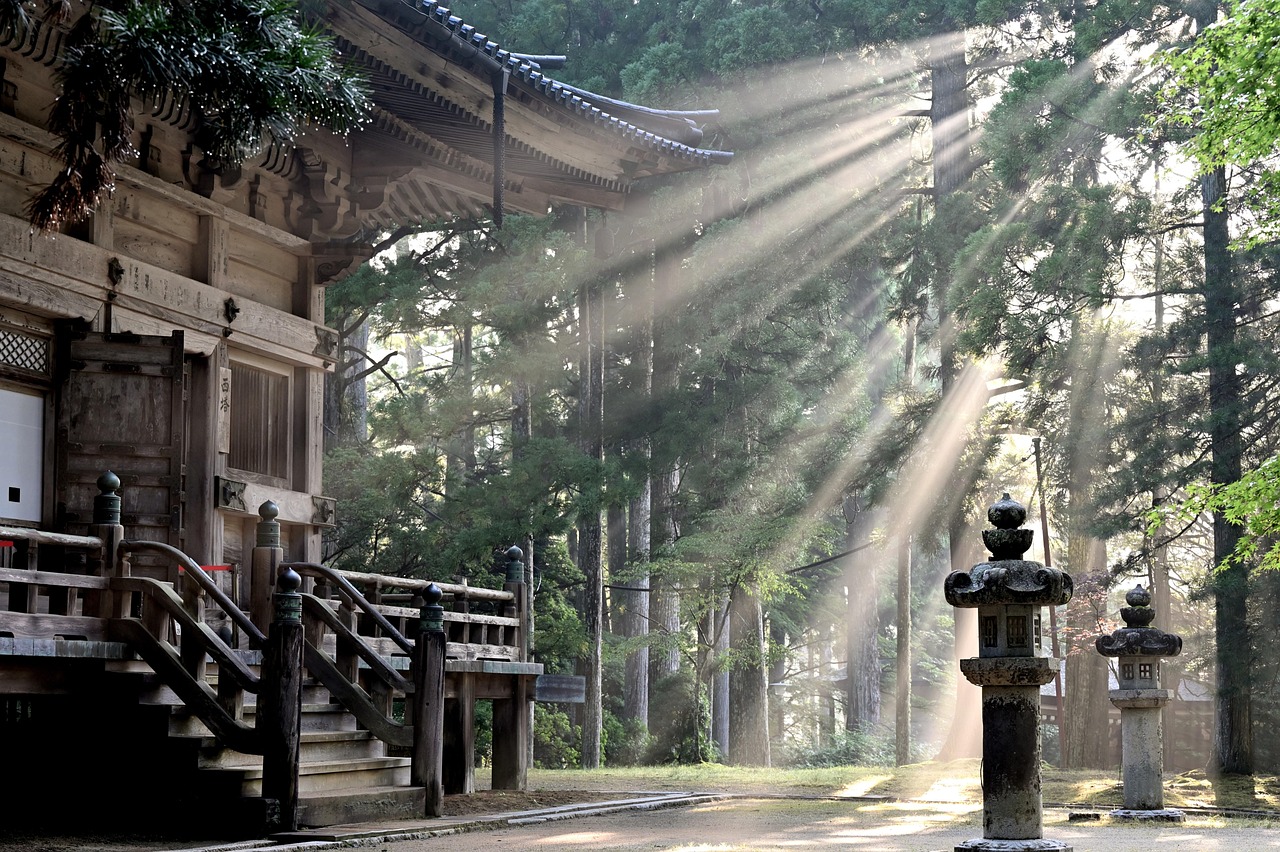 Japan: Holen Sie das Beste aus Ihrer Reise heraus!
