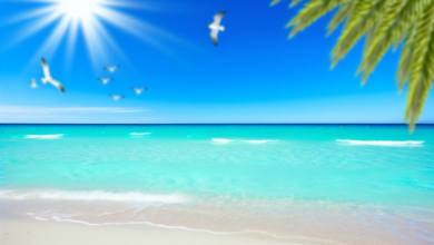 Traumurlaub am Meer: Die schönsten Strände weltweit