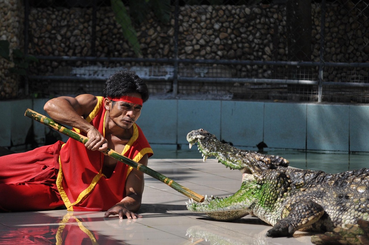 Phuket entdecken: Kulinarische Highlights und unvergessliche Erlebnisse!