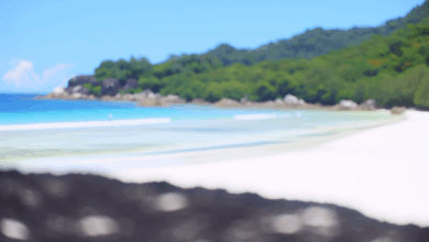 Die unberührten Strände der Seychellen