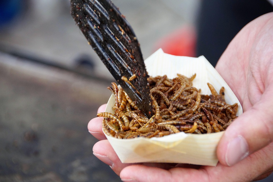 Exotisches Gemüse: So zaubern Sie neue Geschmackserlebnisse in Ihren Garten!