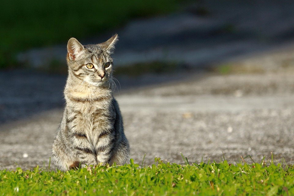 Increased Caution for USA Travel: Sicherheitsrisiken im Fokus!