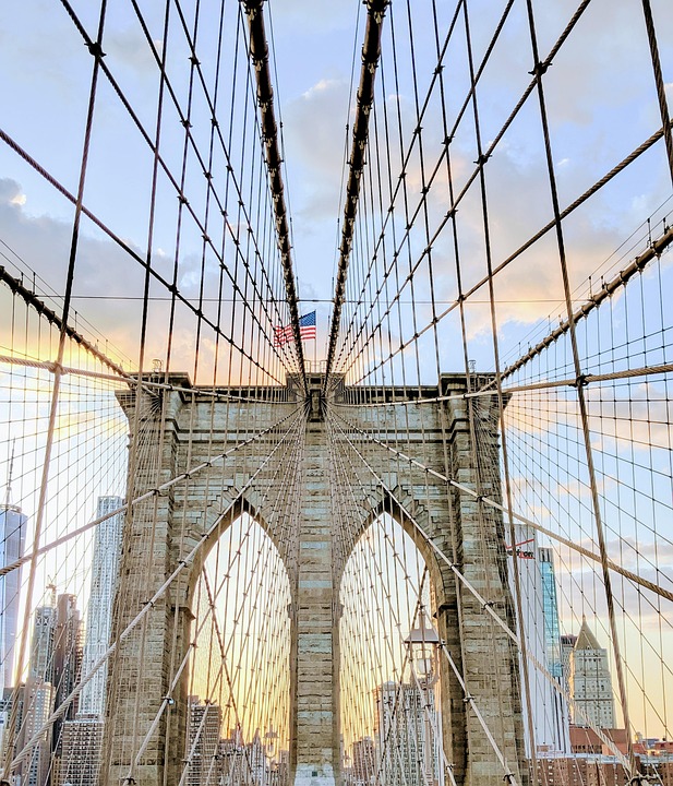 Kälber-Haltung in den USA: Ein Blick hinter die Kulissen der Innovation!