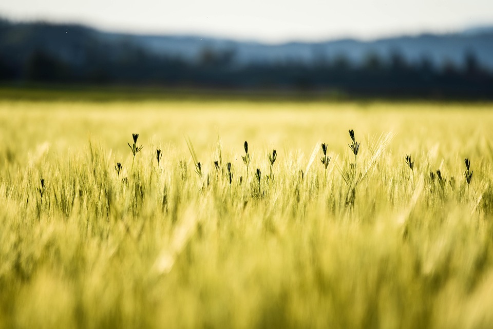 Sommer 2025: Österreicher reisen trotz Inflation ans Meer!