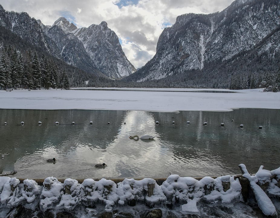 Wolf-Sichtung am Toblacher See: Urlauber filmen seltene Begegnung!