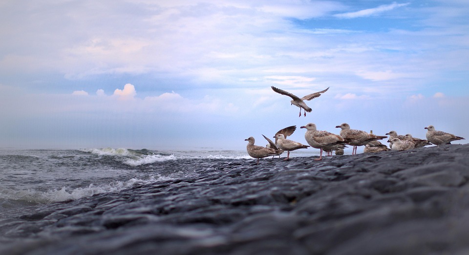 Norderney unter Druck: Juist und Langeoog als begehrte Alternativen!