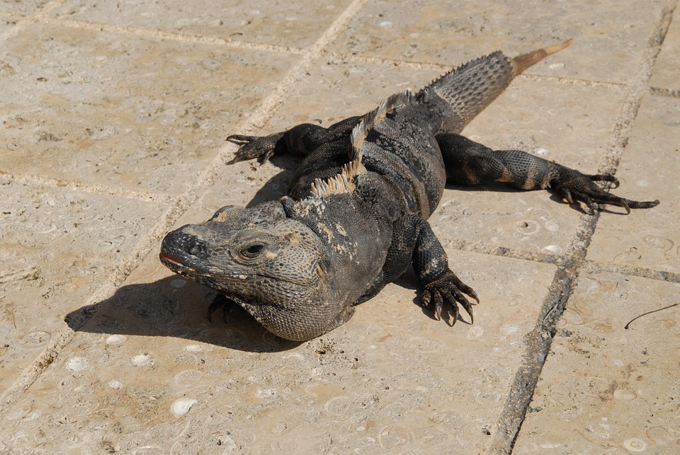 Urlaubsparadies trotz hoher Preise: So reisen Deutsche günstig!