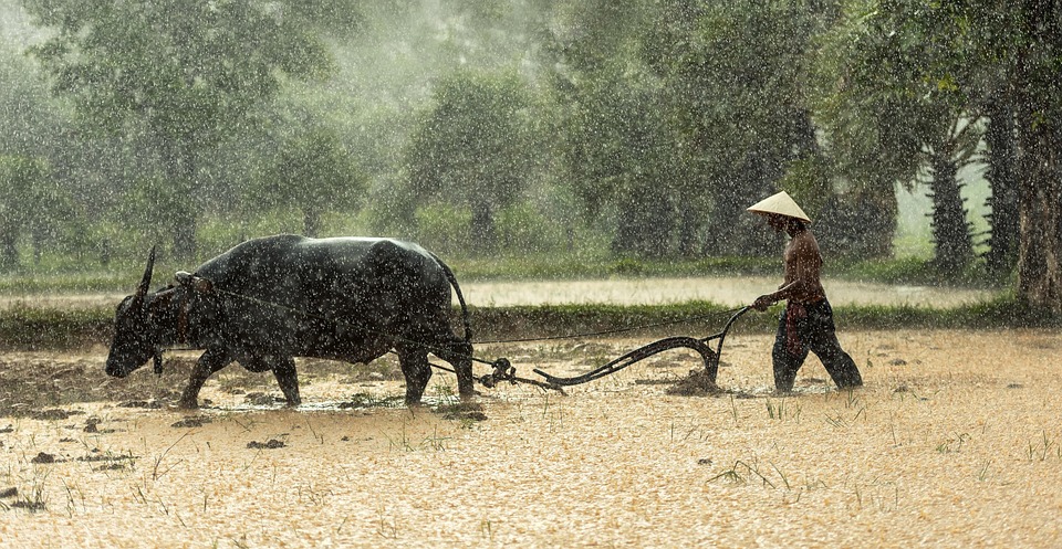 Vietnam erholt sich rasant: 9,2 Millionen Touristen bereits 2025!