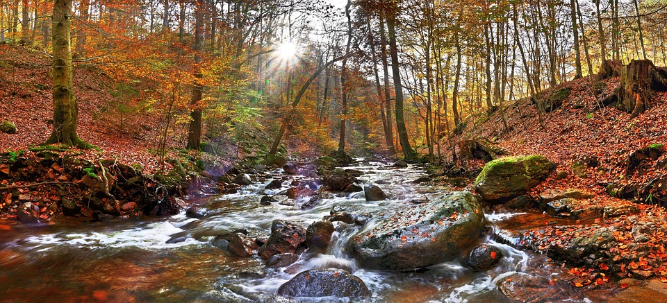 Tourismusboom im Harz: Rekordzahlen, aber HSB kämpft mit Problemen!