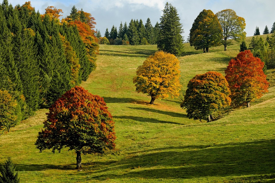 Herbstliche Entdeckungsreise: Kunstfestivals und neue Luxushotels in Japan!