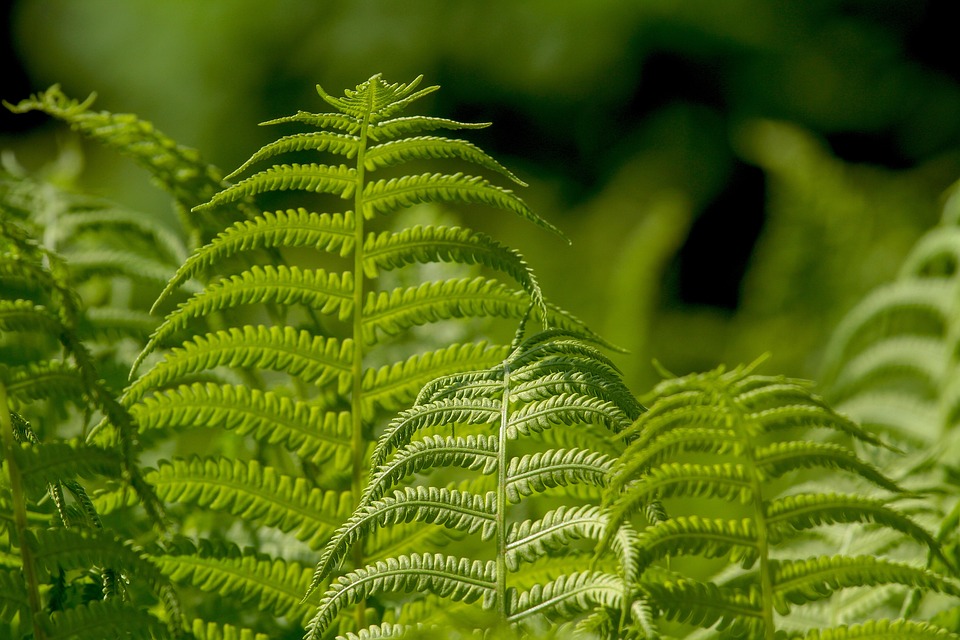 Kundenfalle Pauschalreisen: EU plant strenge Neuerungen für Reisende!