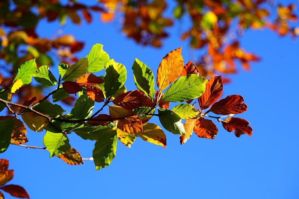 Herbstliche Traumziele: Die besten warmen Rückzugsorte in Europa!