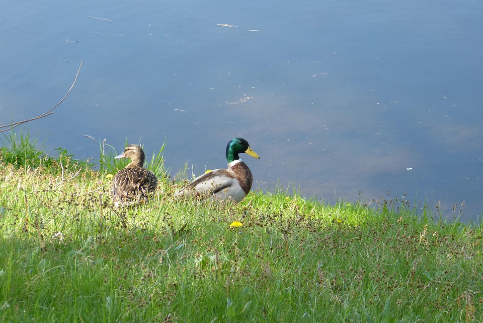 Ehekrise in der Familie Hamelin: Thierrys verzweifelter Versuch zur Rettung!