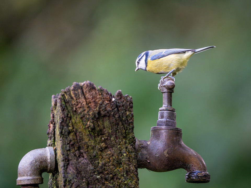 Schnäppchenjäger aufgepasst: Traumreisen nach Thailand ab 1.114 Euro!