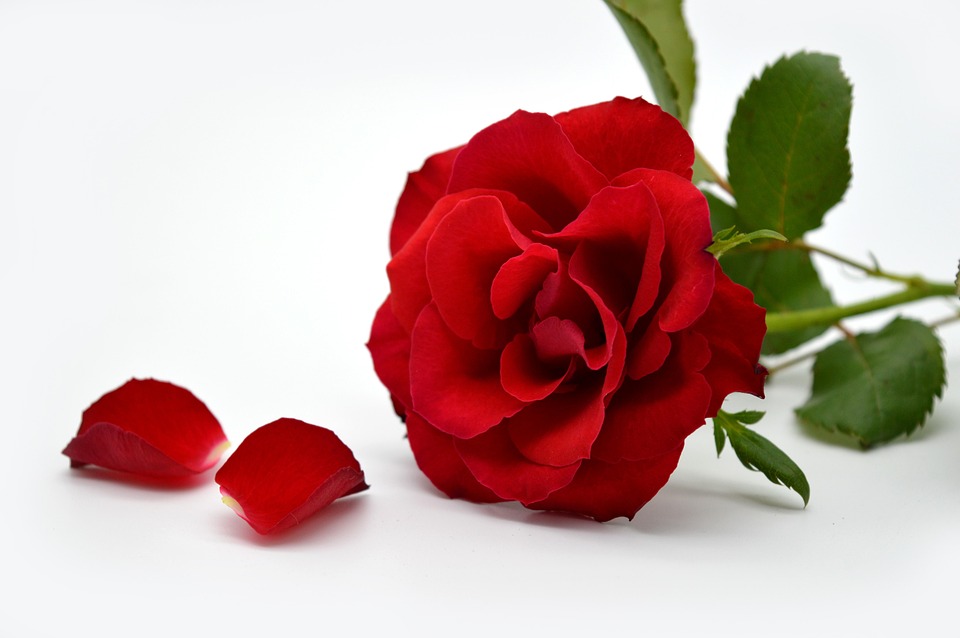 Valentinstag Gewinnspiel: Traumreise ab Hannover für Paare zu gewinnen!