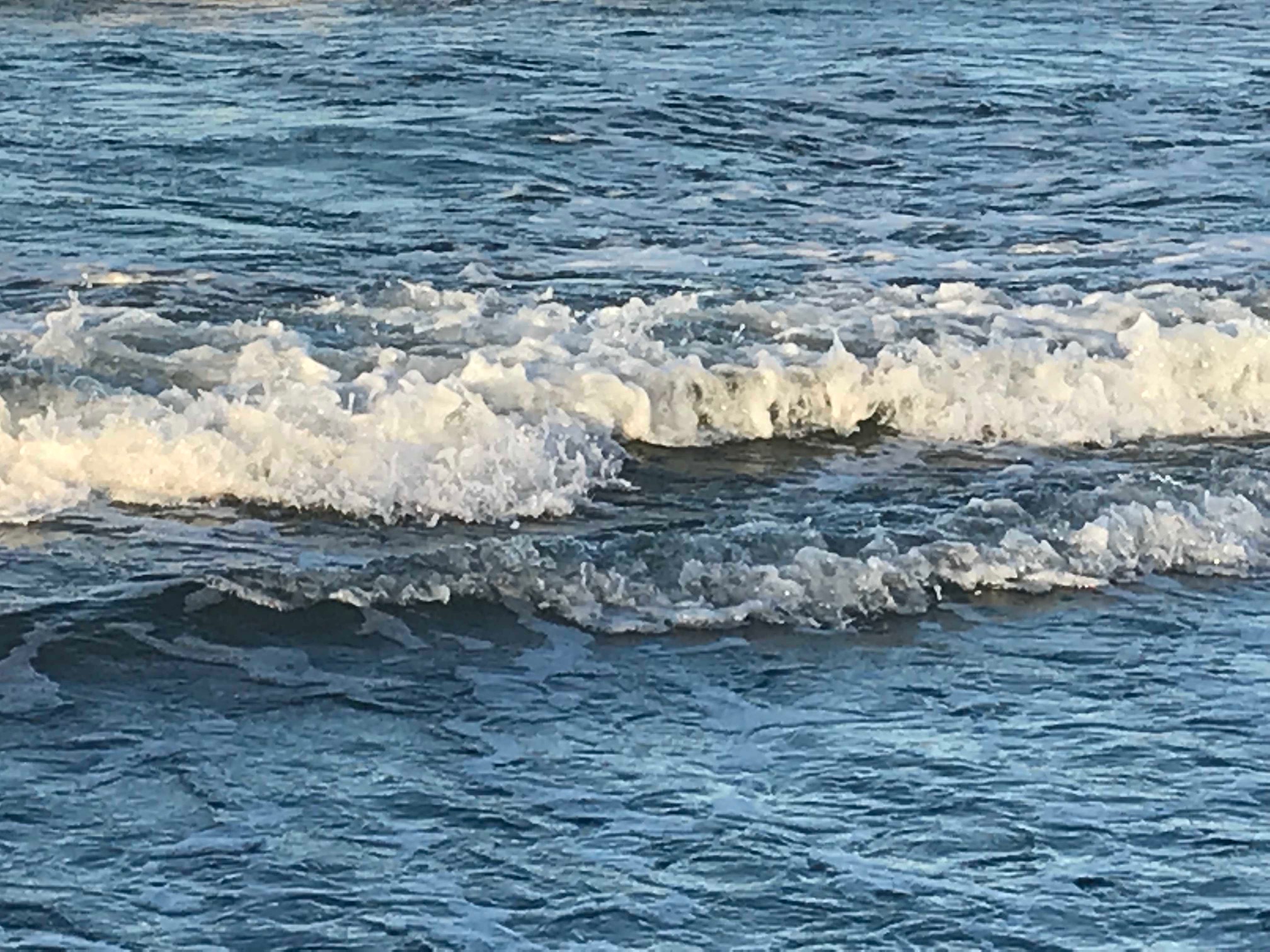 Panorama Seeblick - erste Reihe am Wasser Deichhaus St. Barbara