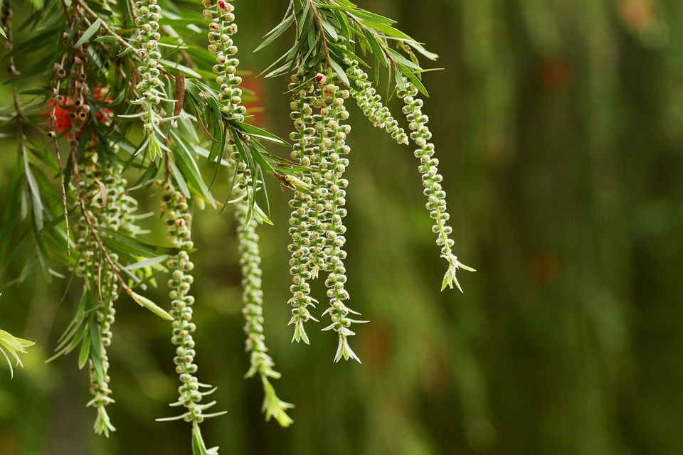 Frühlingserwachen: Die Hotspots für Ihren Märzurlaub in Europa!